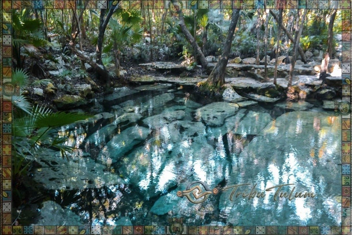 8 Cenotes Secretos en Tulum que Pocos Conocen