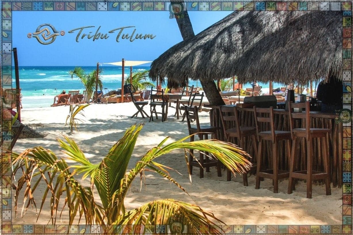 Bares y Cocteles en Tulum: Mezcal, Mixologia y Mas