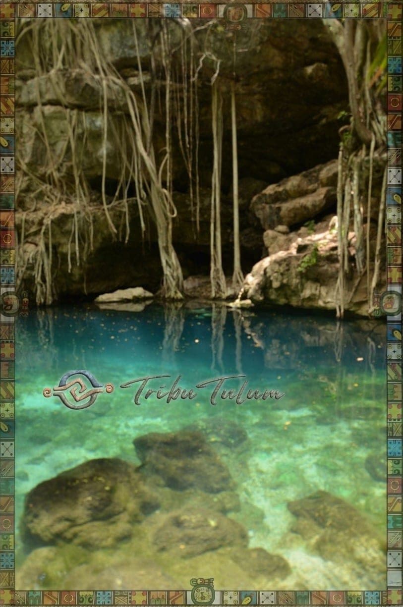 Cenotes de Tulum: Guia de Etiqueta y Conservacion