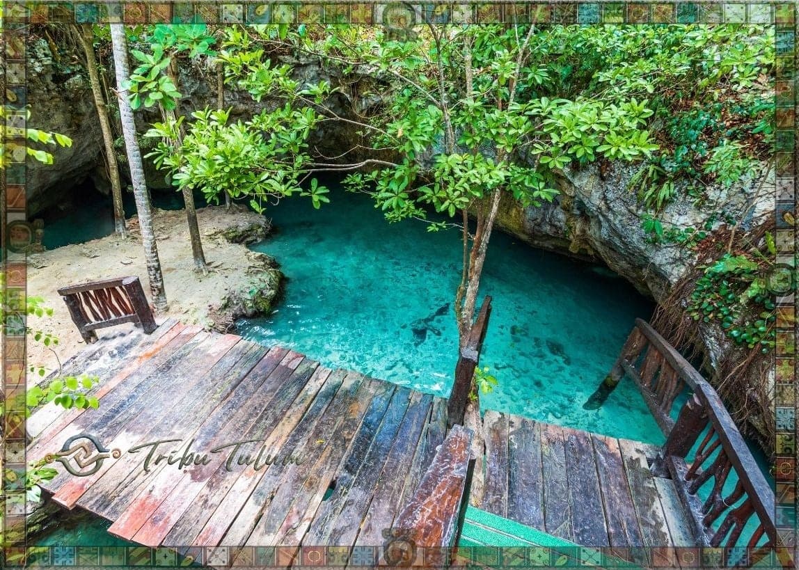 Los Cenotes de Tulum: Guía Completa para Explorar