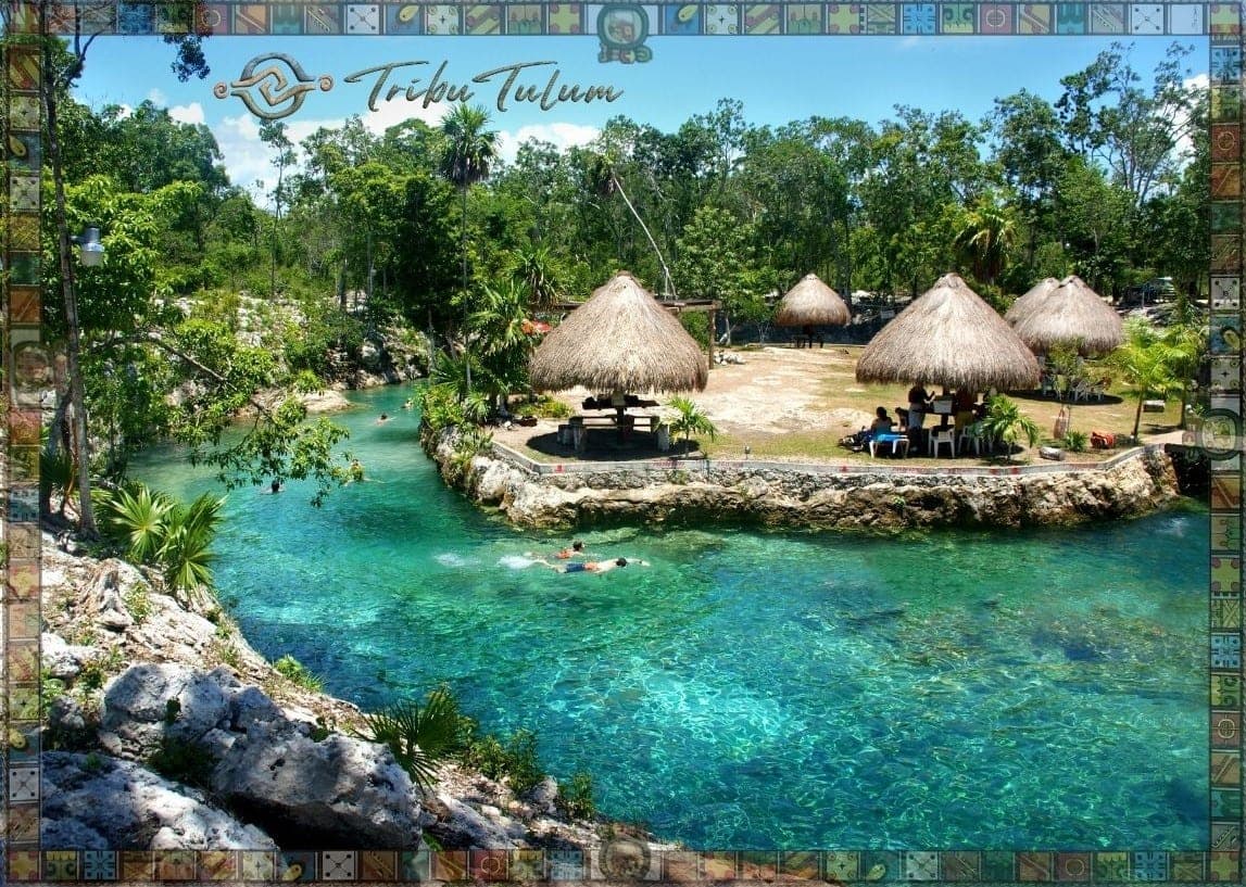 Cenotes y Naturaleza