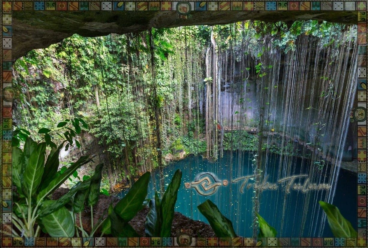 Geologia de los Cenotes: Como se Forman y Por Que Solo Existen Aqui