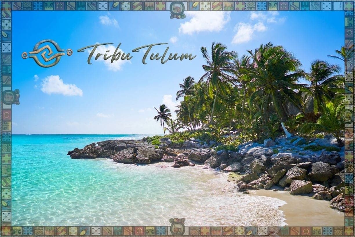 Playas para Familias en Tulum: Guia de Playas Seguras