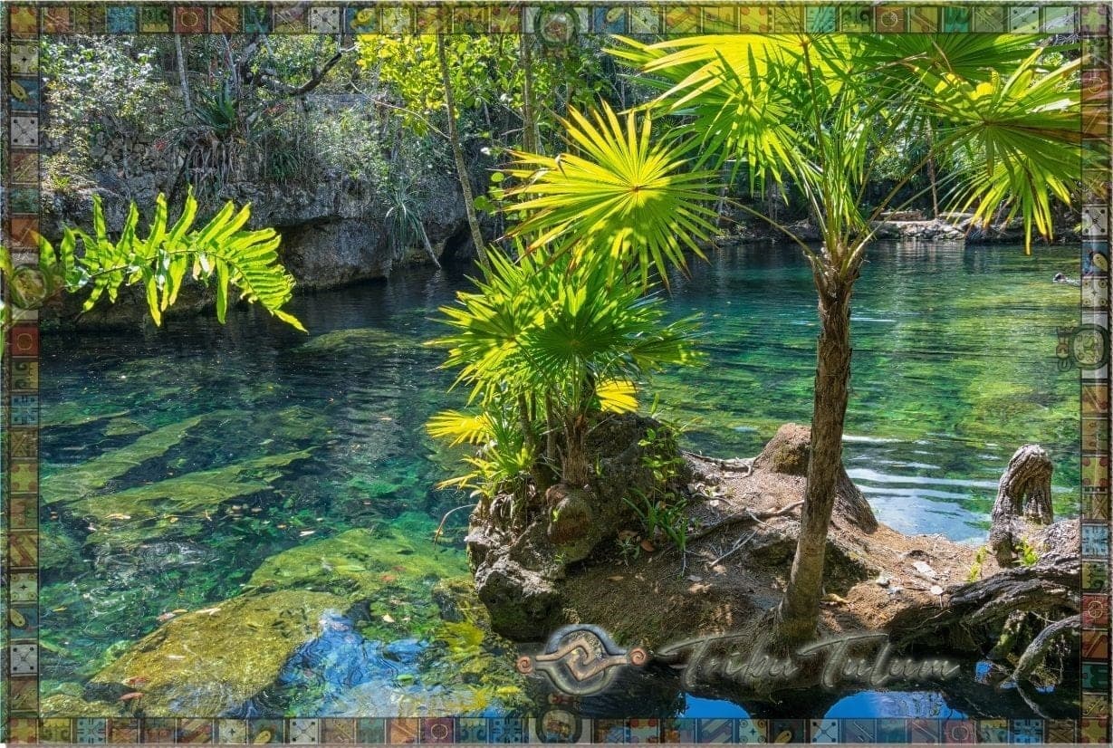 Snorkel en las Playas de Tulum: Arrecifes y Vida Marina