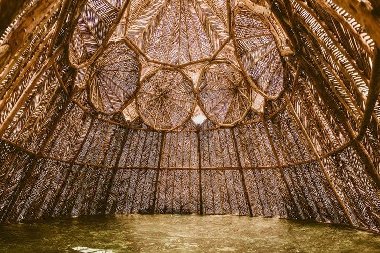 Yoga en Tulum: Guia Completa de Estudios y Retiros