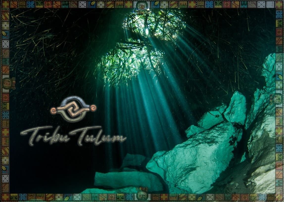 Diving in Tulum and Cenotes: Guide for Beginners and Advanced