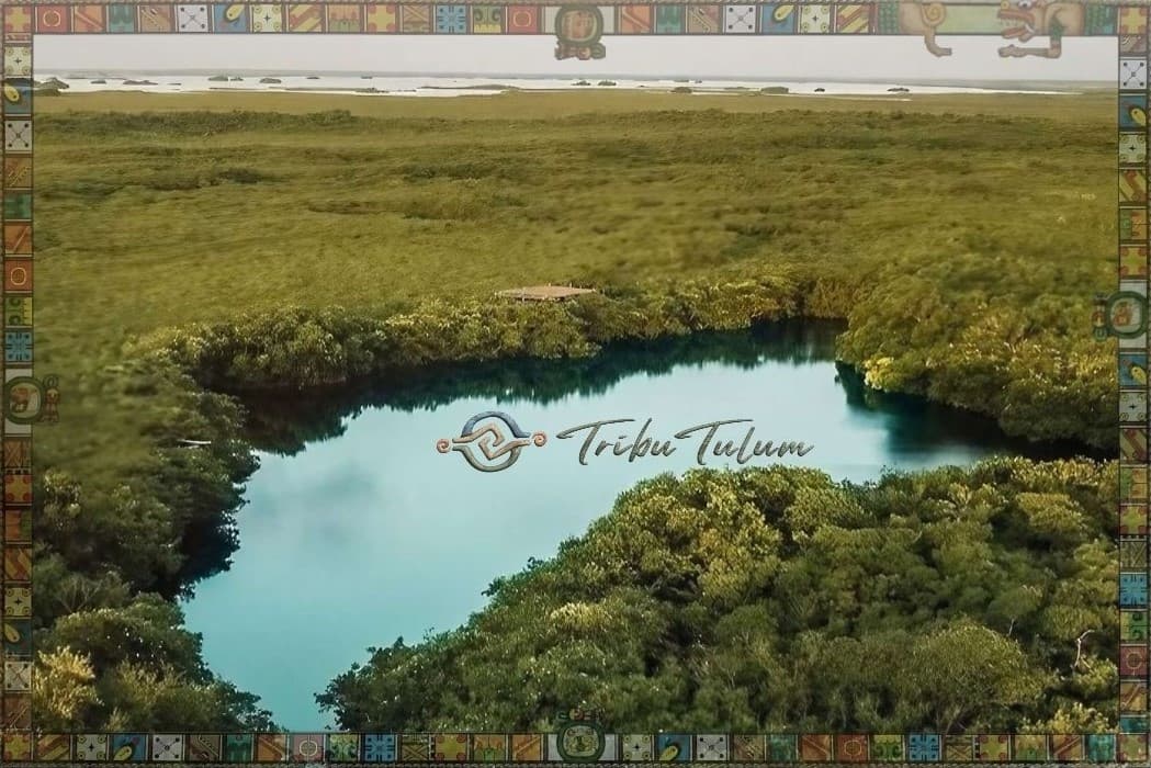 Kayak and Paddleboard in Tulum: Mangroves, Lagoons and Sea