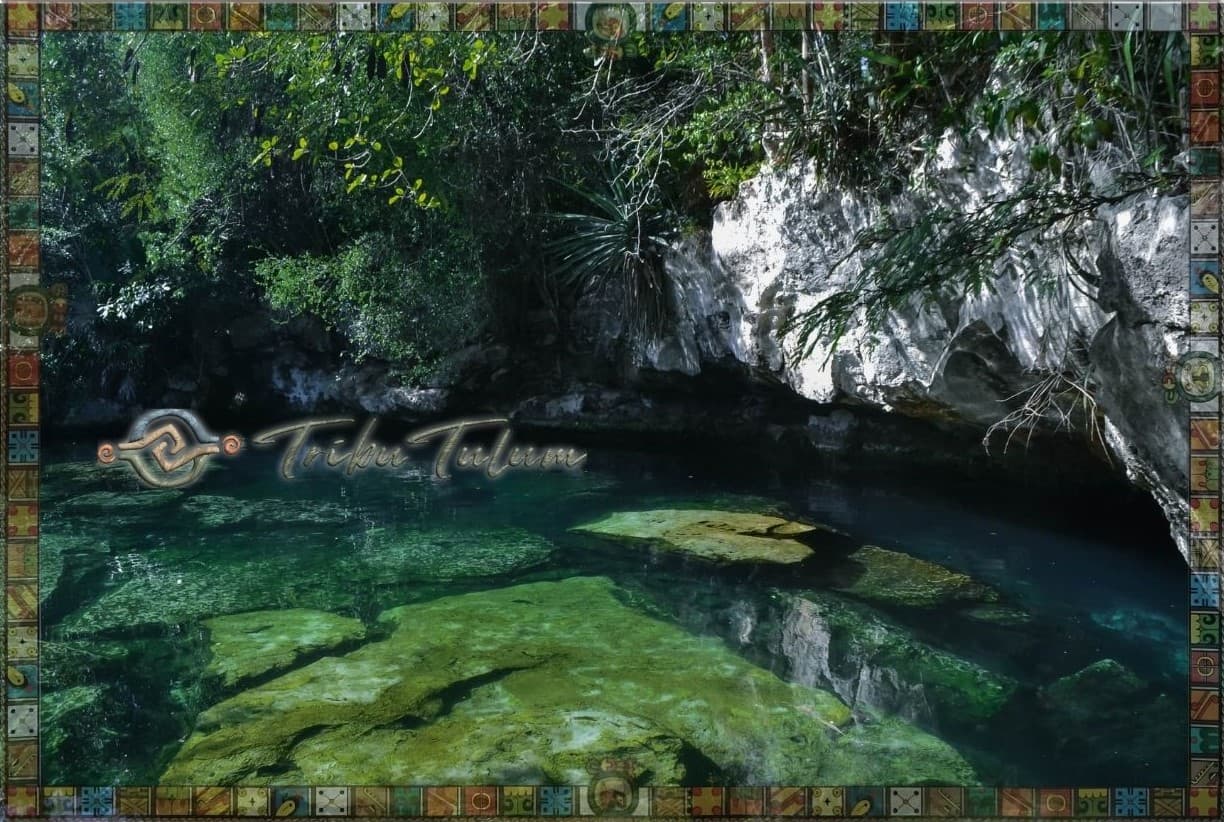 Cenote Snorkeling: Best Cenotes for Swimming and Exploring
