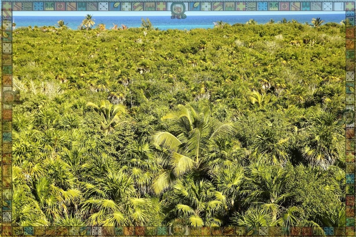 ATV and Zip-Line Tours: Jungle Adventure in Tulum