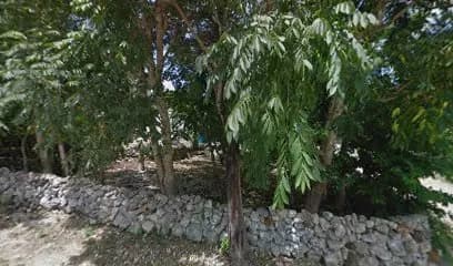 Chanche Quintanarro Primaria Cristobal Colom