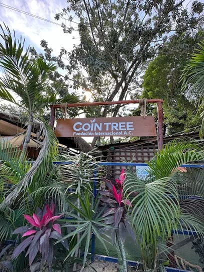 Cointree Tulum International NGO