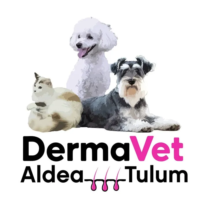 Dermavet Aldea Tulum