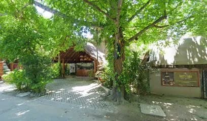 Dra. Mariana Sofia Riveros (MD) Online Doctor