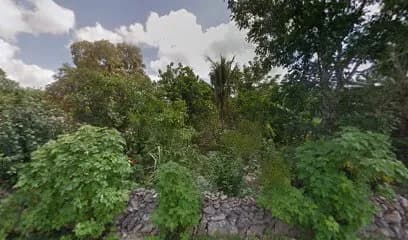 Impresión de documentos PDF y copias tamaño carta