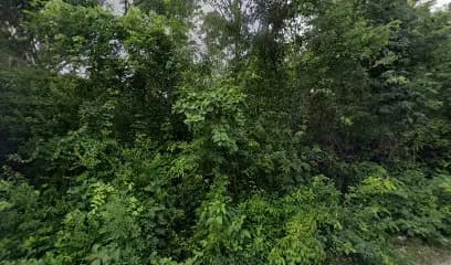 Lavado de autos kukulkan