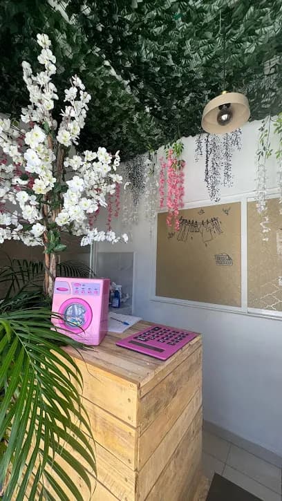 Lavanderia El Jardín