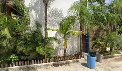 Online English with Luciana