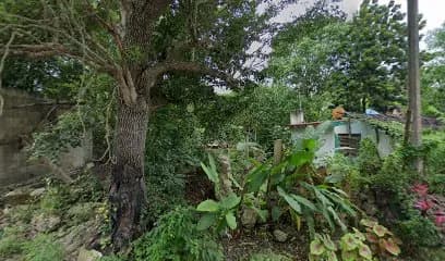 Telesecundaria Chanchén palmar