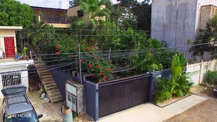 Love House Tulum - House for Sale