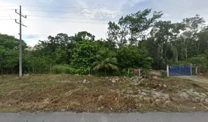 Mi terreno alebrijes