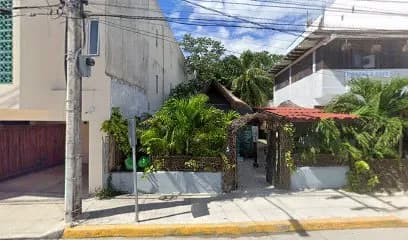 CONCRETOS PARMA TULUM
