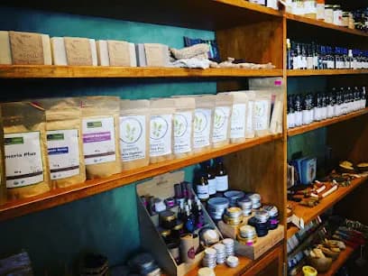 Eli Deli - Seedling | Nutrition & Joy