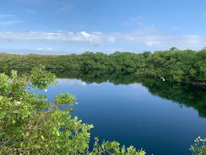 Cenote Encantado Borush Tulum