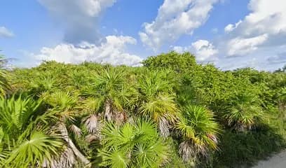 Casa Palmas Xamach Dos