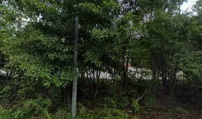 Jaguar Hut Tulum