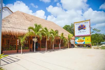 Mestizo Gallery Boutique Hotel