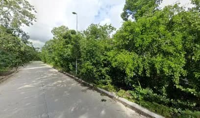 Real Zama By Moskito