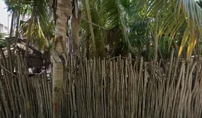 Scorpios Tulum