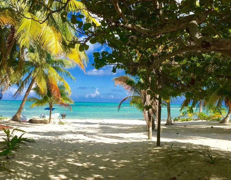 The Ascension Bay Bed and Breakfast