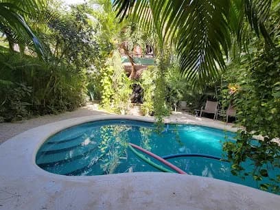 The Secret Garden: An Oasis in Tulum