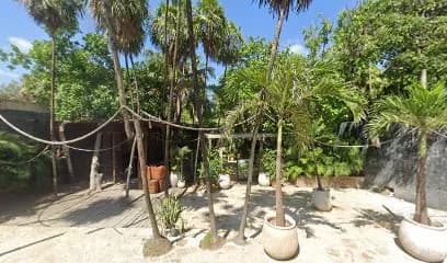 UNITE Tulum