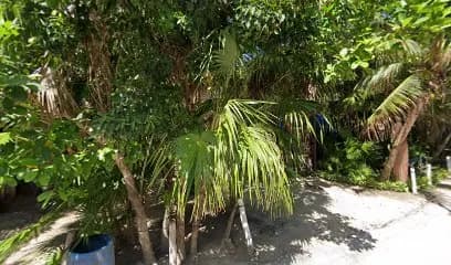 Entrada Restaurante Pies Descalzos