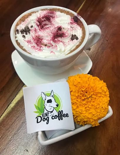 Hemp Dog Coffee