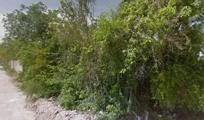 La Casa de los Gatitos Coffee Shop