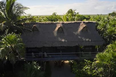 LIBÉLULA TULUM