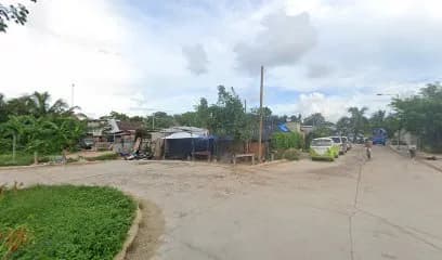 Pollos asados yaneth