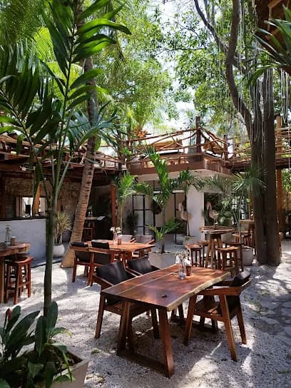 Voilà Tulum