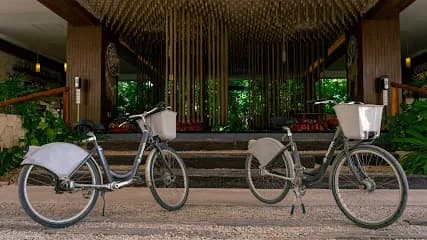 Muvon Bike Rental - Naala