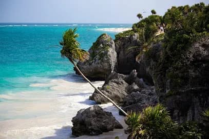 Tulum Transfers Mx