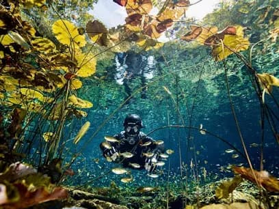 Diving with Martin