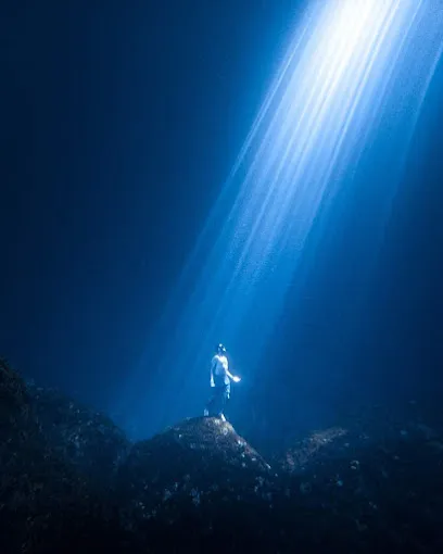 Freediving Tulum MExplor
