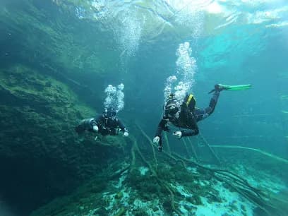 Go Dive Mexico