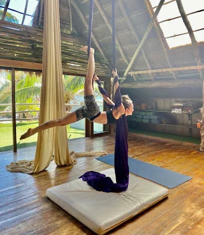 Lucid Aerial Arts