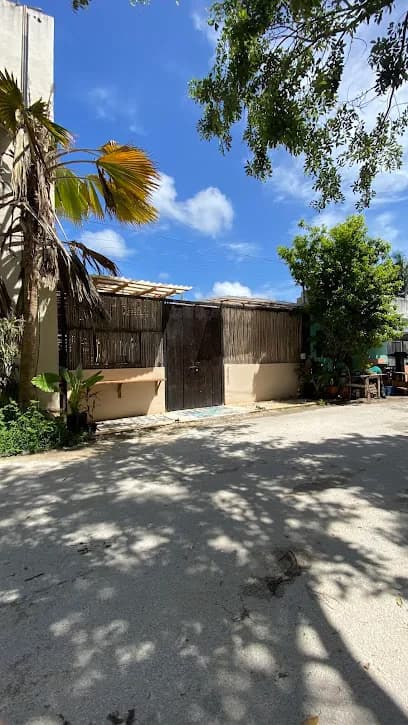 La Misión - Social Wellness Club