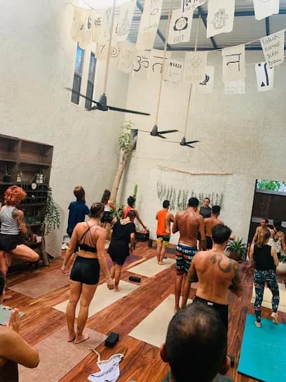 OM Collective
