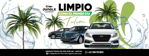 Jungle Car Wash